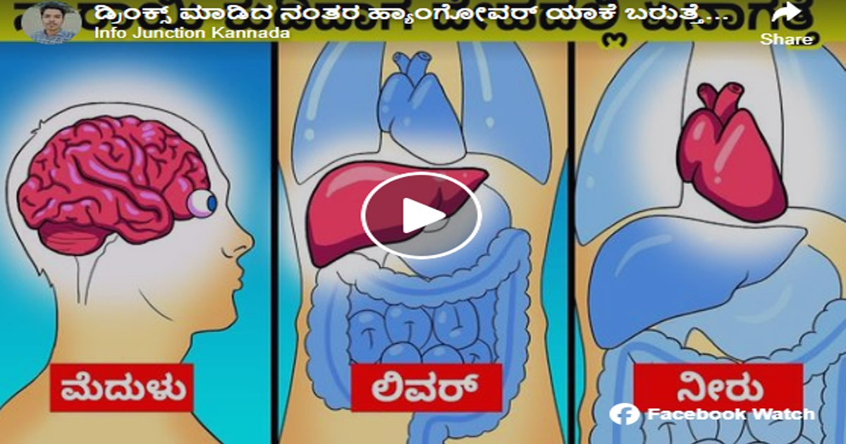 ಎಣ್ಣೆ ಕುಡಿದ ಮೇಲೆ ಯಾಕೆ ಹ್ಯಾಂಗ್ ಓವರ್ ಆಗುತ್ತೆ ಗೊತ್ತಾ..? ಕಾರಣ ತಿಳಿದರೆ ಇಂದೇ ಕುಡಿಯೋದನ್ನೆ ಬಿಡ್ತೀರಾ ನೋಡಿ