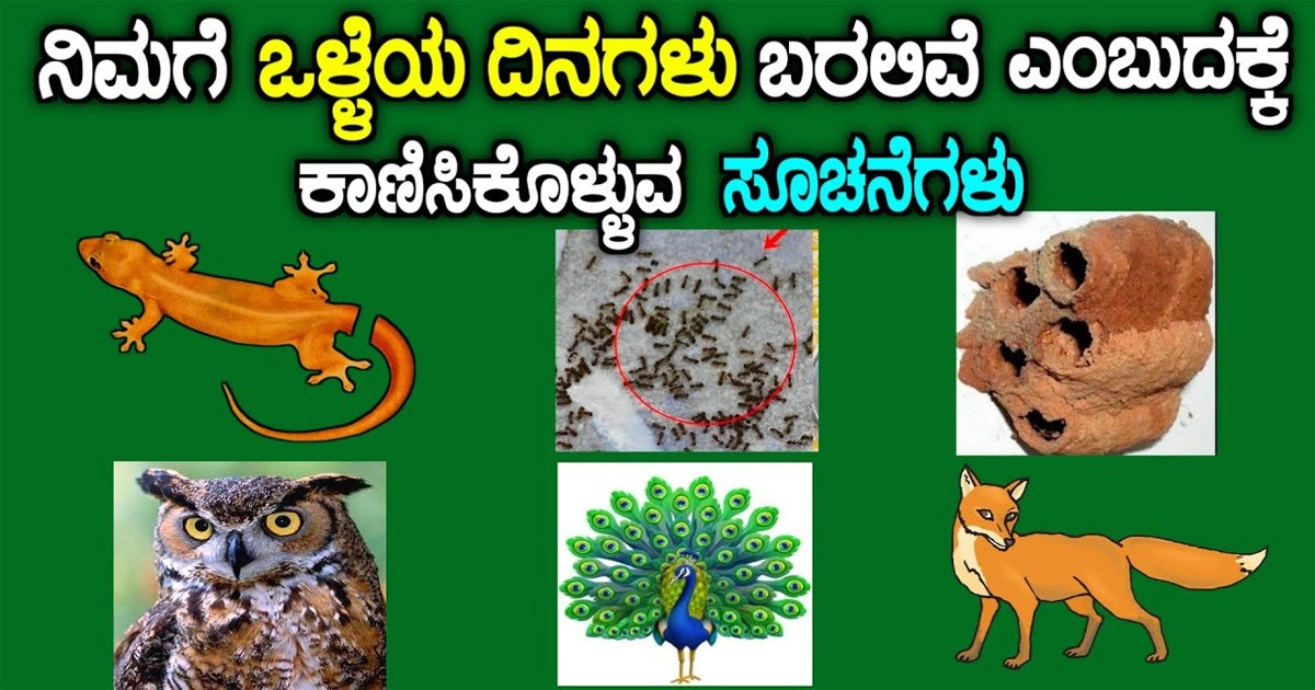 ನಿಮ್ಮ ಮನೆಗೆ ಹಣ ಬರುವ ಮುನ್ನ ಈ ಕನಸುಗಳು ನಿಮಗೆ ಬೀಳುತ್ತವಂತೆ..! ಅವು ಯಾವುವು..?