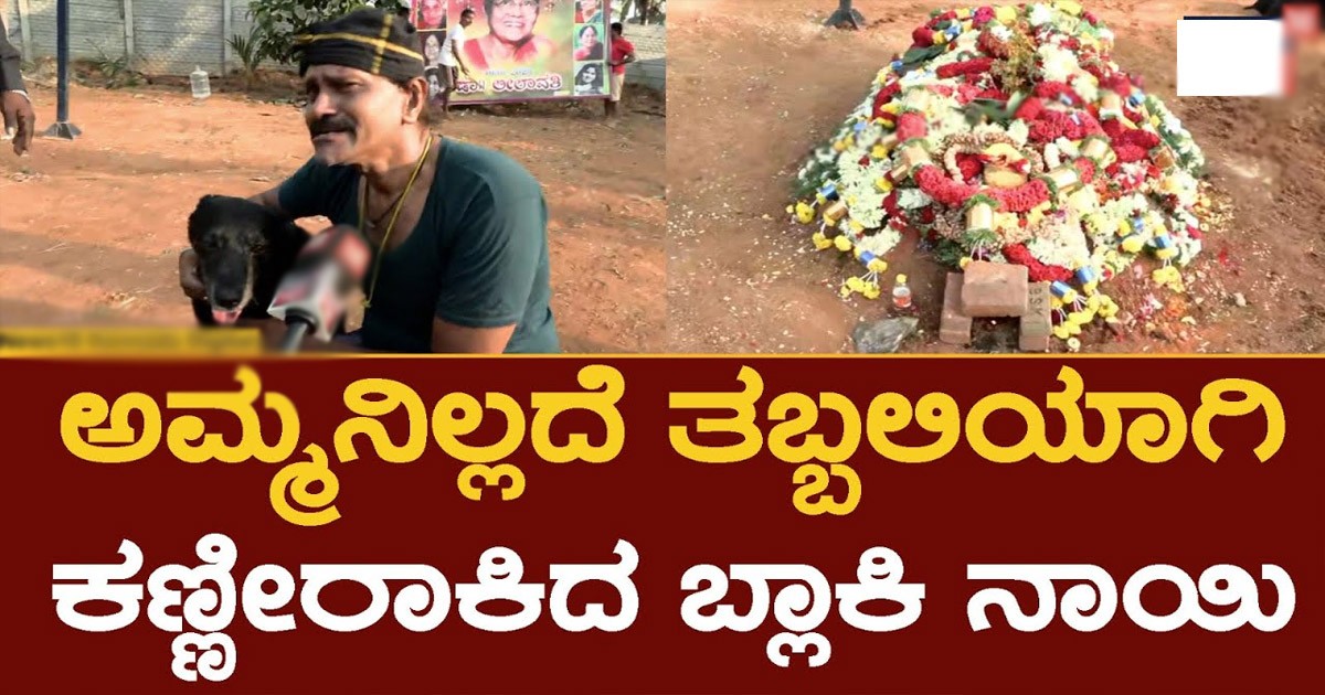 ಅಮ್ಮನ ಸಮಾಧಿಯ ಬಳಿ ಬಂದು ವಿನೋದ್ ಹಾಗೂ ಸಾಕು ನಾಯಿ ಮಾಡಿದ್ದು ನೋಡಿ ನಿಜಕ್ಕೂ ಶಾಕ್ ಆದ ಮಾದ್ಯಮ! ಏನು ಮಾಡಿದ್ದಾರೆ ಗೊತ್ತಾ?