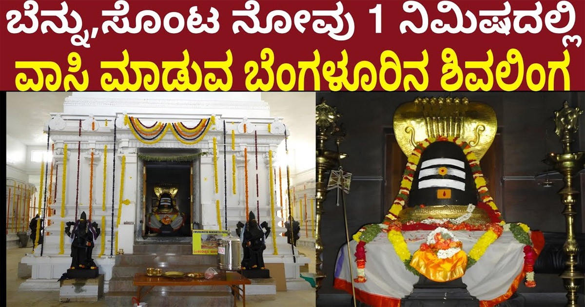 ಬೆನ್ನು , ಸೊಂಟ ನೋವನ್ನು ವಾಸಿ ಮಾಡುವ ಶಕ್ತಿಯುಳ್ಳ ಶಿವಲಿಂಗ ದೇವಸ್ಥಾನ! ಎಲ್ಲಿದೆ ಗೊತ್ತಾ?