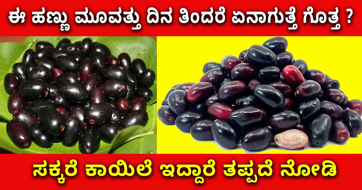 ಈ ಹಣ್ಣು ಮೂವತ್ತು ದಿನ ತಿಂದರೆ ಏನಾಗುತ್ತೆ ಗೊತ್ತ ?  ಸಕ್ಕರೆ ಕಾಯಿಲೆ ಇದ್ದಾರೆ ತಪ್ಪದೆ ನೋಡಿ