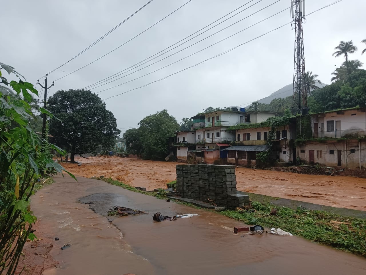 Wayanad Landslide 2024 Photos, Devastating Impact, Rescue Efforts, and Videos