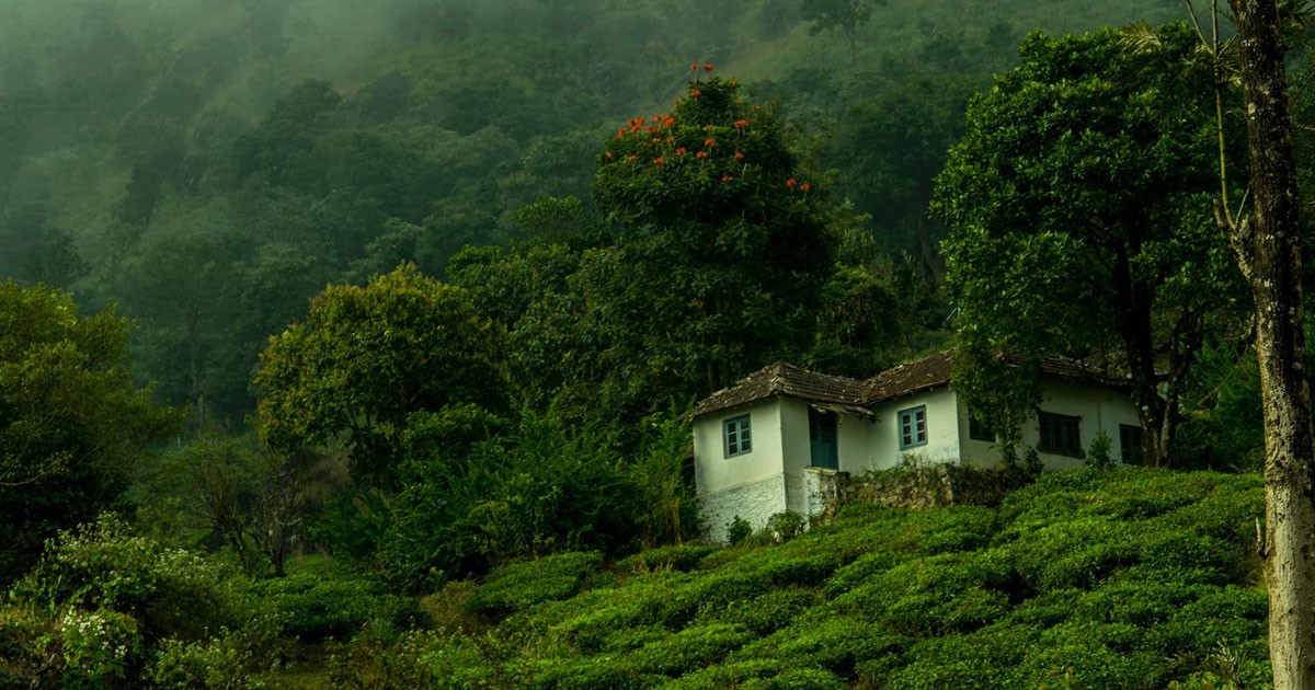 Wayanad Weather Forecast in August 2024