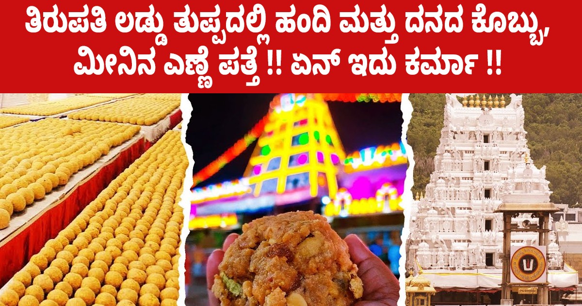 ತಿರುಪತಿ ಲಡ್ಡು ತುಪ್ಪದಲ್ಲಿ ಹಂದಿ ಮತ್ತು ದನದ ಕೊಬ್ಬು, ಮೀನಿನ ಎಣ್ಣೆ ಪತ್ತೆ !! ಏನ್ ಇದು ಕರ್ಮಾ !!