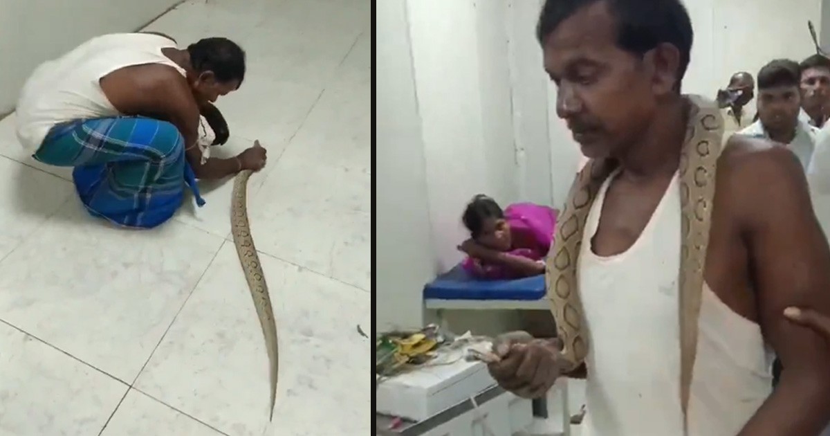 Heroic Act in Bhagalpur: Man Brings Snake to Hospital After Being Bitten