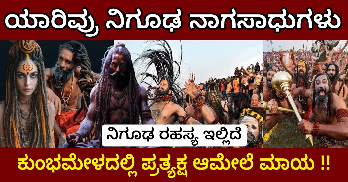 ಯಾರಿವ್ರು ನಿಗೂಢ ನಾಗಸಾಧುಗಳು- ಕುಂಭಮೇಳದಲ್ಲಿ ಪ್ರತ್ಯಕ್ಷ ಆಮೇಲೆ ಮಾಯ !! ನಿಗೂಢ ರಹಸ್ಯ ಇಲ್ಲಿದೆ