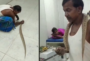 Heroic Act in Bhagalpur: Man Brings Snake to Hospital After Being Bitten