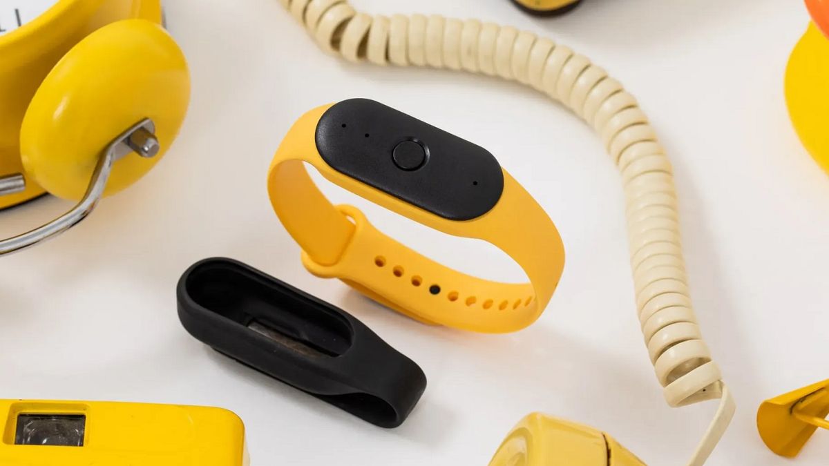 Amazon Bee Frontier and Bee Eclipse: New AI Devices, Features and Price
