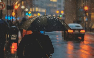 Heavy Rain Safety Guide: What to Do During Thunderstorms and Lightning