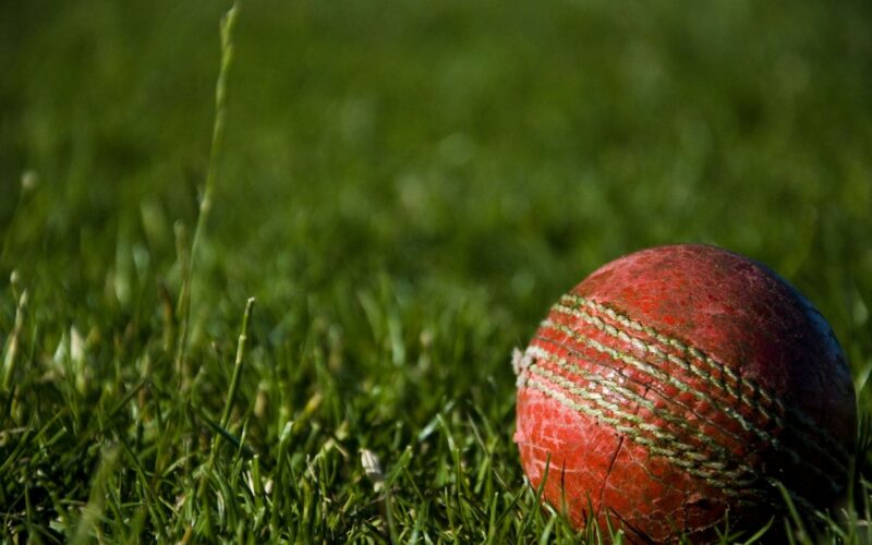 India Cricket Watch: Match Schedules, Team News and Where to Verify Live Updates