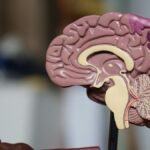 PCOS in Women: Symptoms, Diagnosis and Lifestyle Management