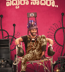 Vaddura Sodharaa (2026): Release Date, Cast, Budget, Box Office & OTT movie poster